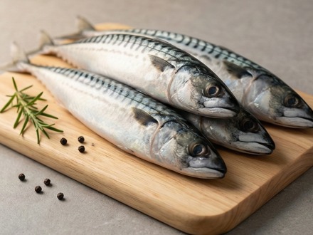 Mackerel