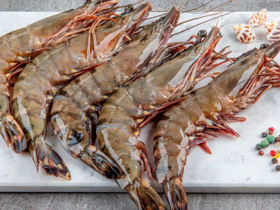 Fresh Tiger Prawns