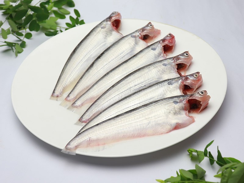 Pavo / Pabda Fish