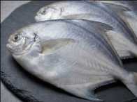 Pomfret